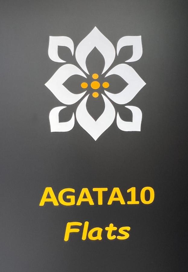 阿利坎特Agata10-3I公寓 外观 照片